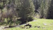 Big-Elk-Spring-4