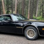 Trans-Am-Gallatin-scaled.jpeg