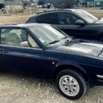 alfasud-05-side-profile.jpg