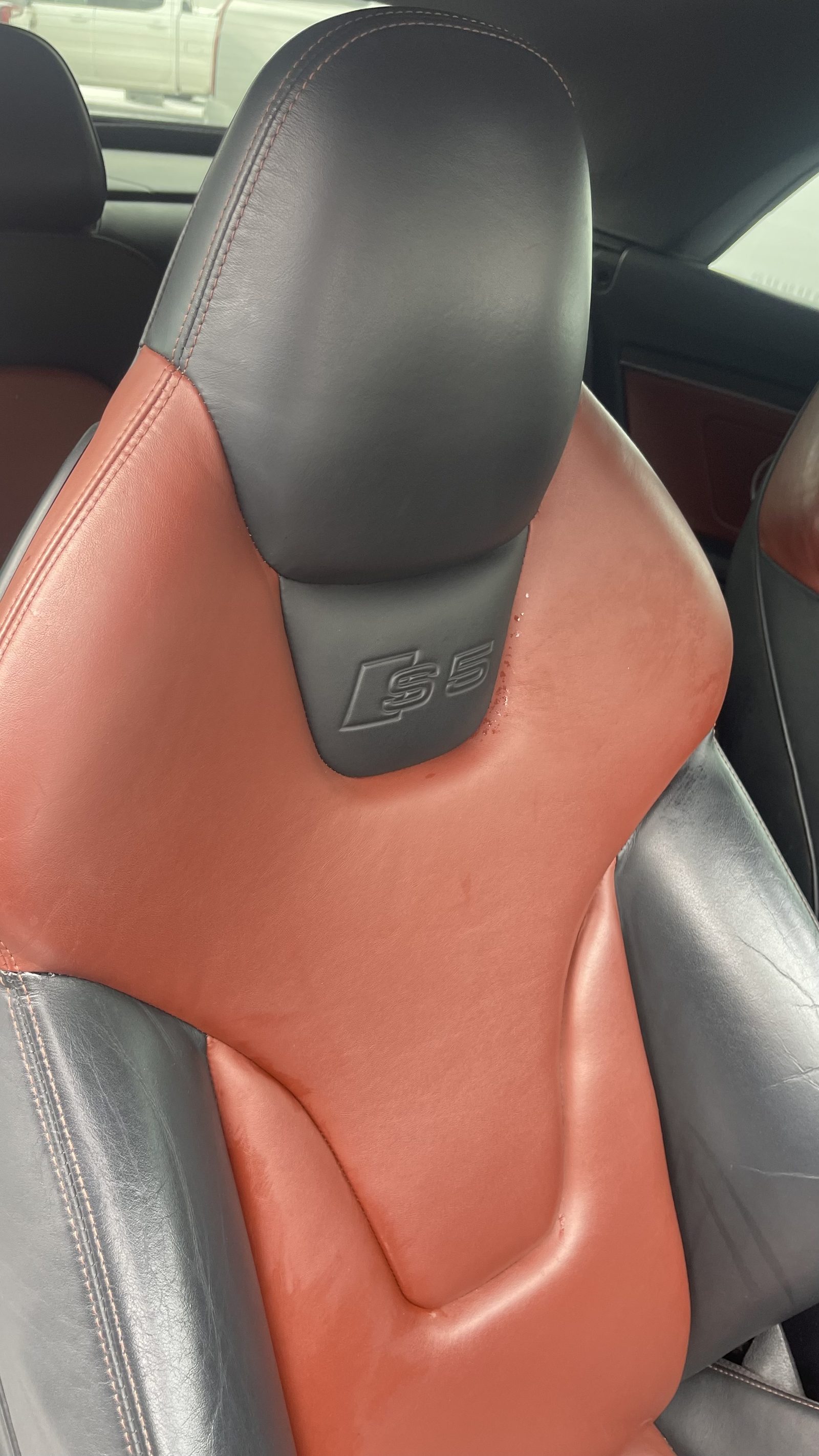 Audi S5 Cabriolet front sport seat detail