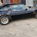 transam-02-side-three-quarter.jpg