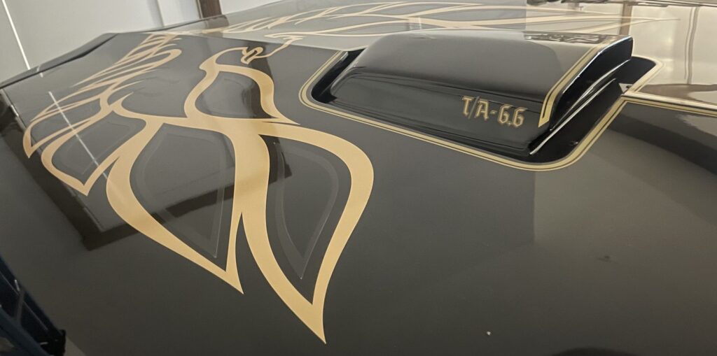 transam-03-screaming-chicken.jpg