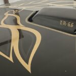 transam-03-screaming-chicken.jpg