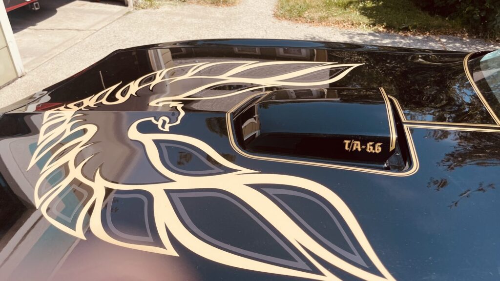 transam-06-hood-decal.jpg