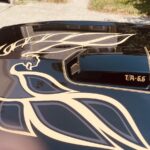 transam-06-hood-decal.jpg